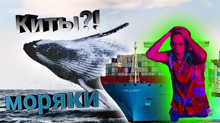 Моряки и встречи с китами , загадочные существа океана