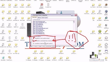 Lesson 21 Power Submitter  Directory submitter basic settings   SEO Tutorials from Alexander Leykov