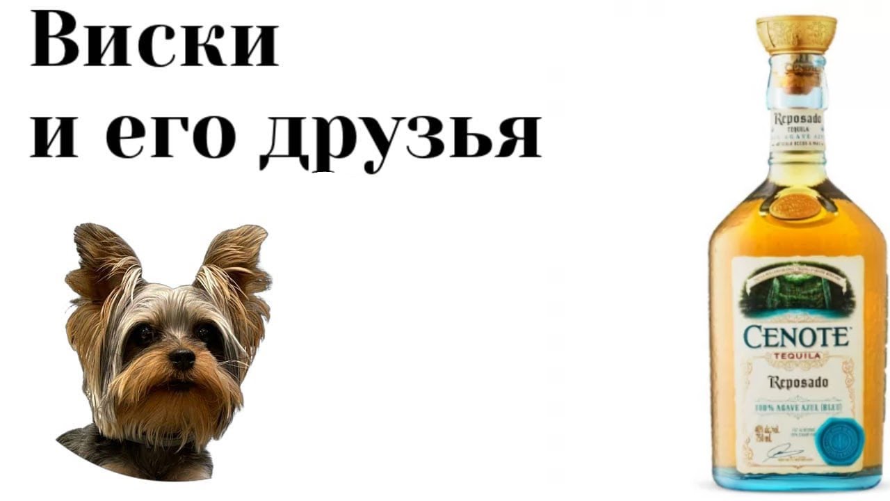 дегустация Cenote Reposado Tequila