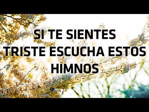 Si Te Sientes