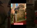 Peter Salasya Visits the Tomb of Emperor Haile Selassie in Ethiopia