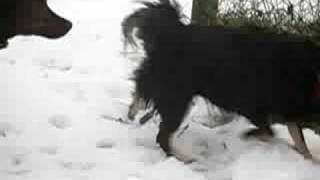 2005 Neve Valdinizza 1