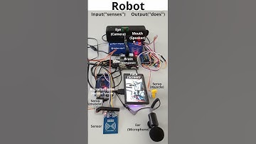 How Robots See & Act: A Visual Guide to Inputs & Outputs