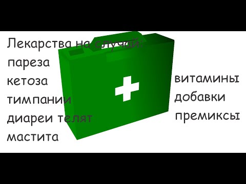 Домашняя ветеринарная аптечка