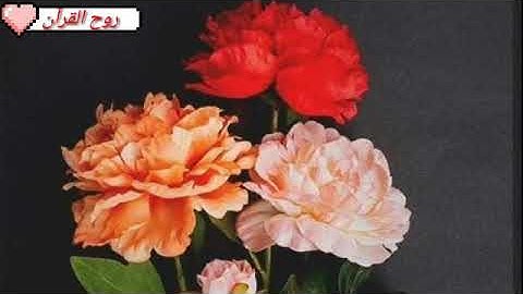 جزء_عم _سورة عبس🌸