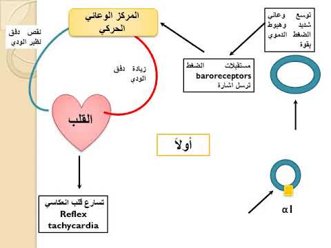 علم الأدوية 2 المحاضرة الأولى الجزء الأول