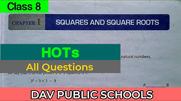 DAV class 8 maths chapter 1 Hots - all questions