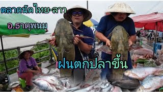 #สุดยอด ปลาแม่น้ำโขง พายุเข้าแม่น้ำโขงน้ำขึ้นปลาเพียบ!! บรรยากาศตลาดนัดไทย-ลาวฝนตกรินๆ ของกินหลาย
