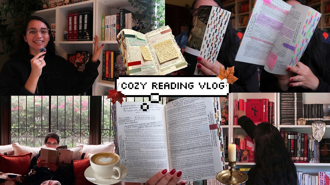 5 star reads, mini book haul & bookshelf organization 🍁✨ fall reading vlog