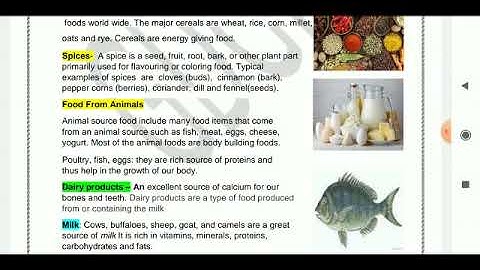 Grade 3  EVS Dated 15 04 2021