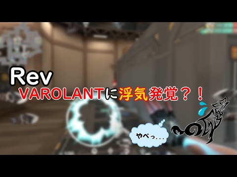 【キル集】許してください。。。VALORANT　Rev【REALIZE】