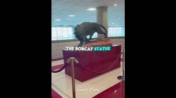 When Your High School Is Famous 😱❤️ #shorts #shortvideo