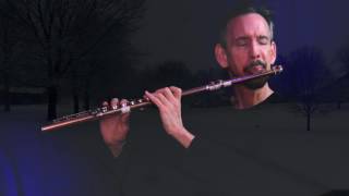 DR  DAVID KLEE PLAYS \