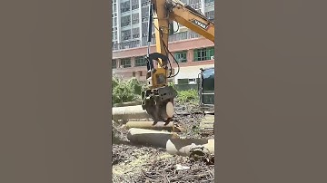 The cutting process of trees, good machinery can improve efficiency