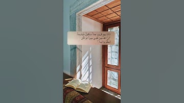 سورة الإنسان #القران #المصحف #القران_الكريم #اكسبلور #لايك #الشيخ المنشاوي