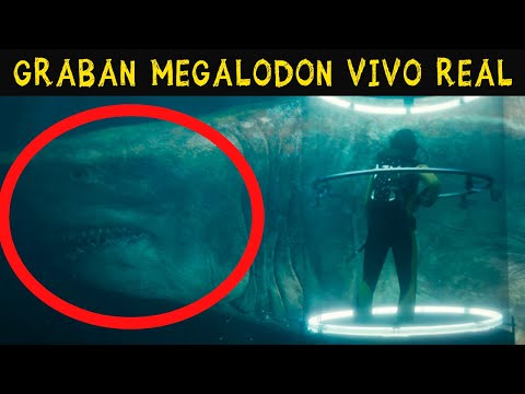 5 CRIATURAS PREHISTÓRICAS