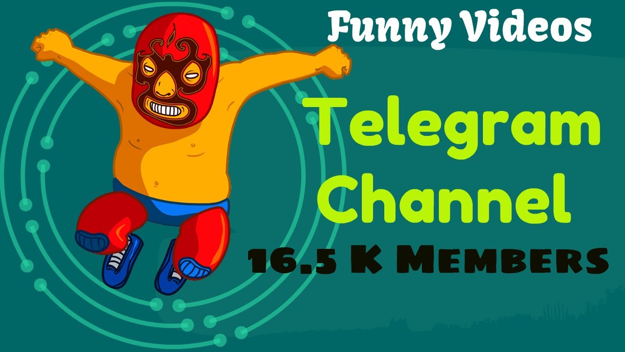 funny video download link funny video download link