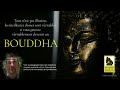 Devenez au moins un bouddha 1