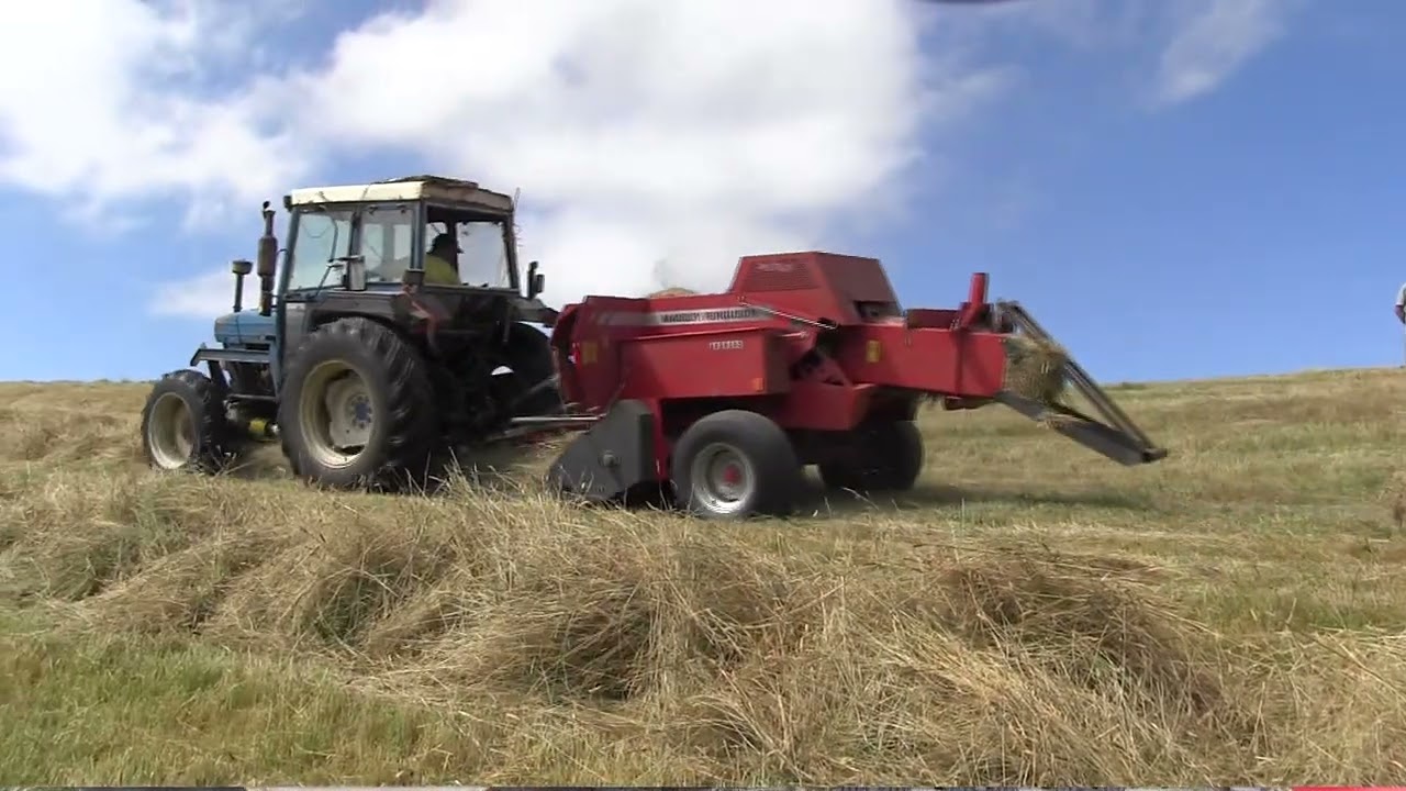 Стивен Дуглас Маунт Вью Хей
