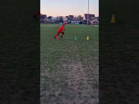 Illinois agility test