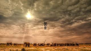 Native P African Spirit