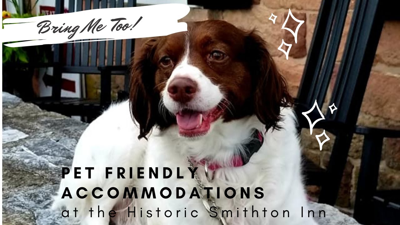 Pet Friendly Bed and Breakfast in Lancaster PA YouTube