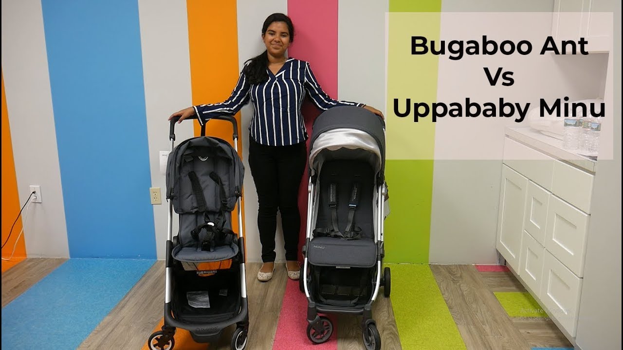 uppababy minu vs bugaboo bee