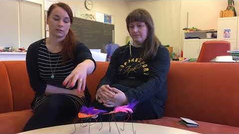 phenomenon based learning, finland 1