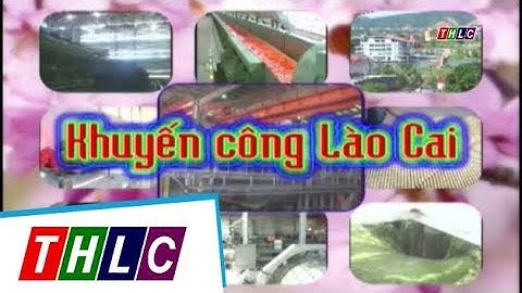 Chuyên mục: Khuyến công (tháng 8/2017) | THLC
