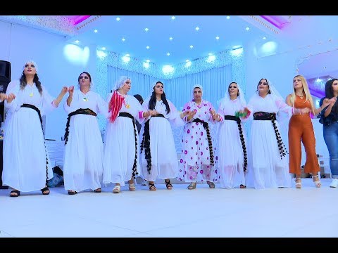 Kurdische Hochzeit part 4 | Hozan Narinxan | by Havin Media