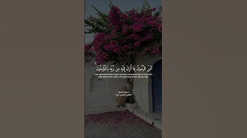 اكتشف نعمة السكينة والهدوء من خلال تلاوة القرآن الكريم القارئ #فارس_عباد #سورة_البقرة