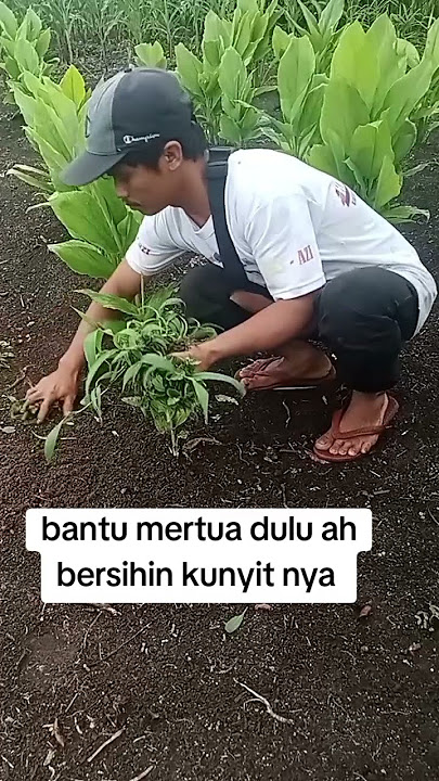 #videoshort #jangkauanluas