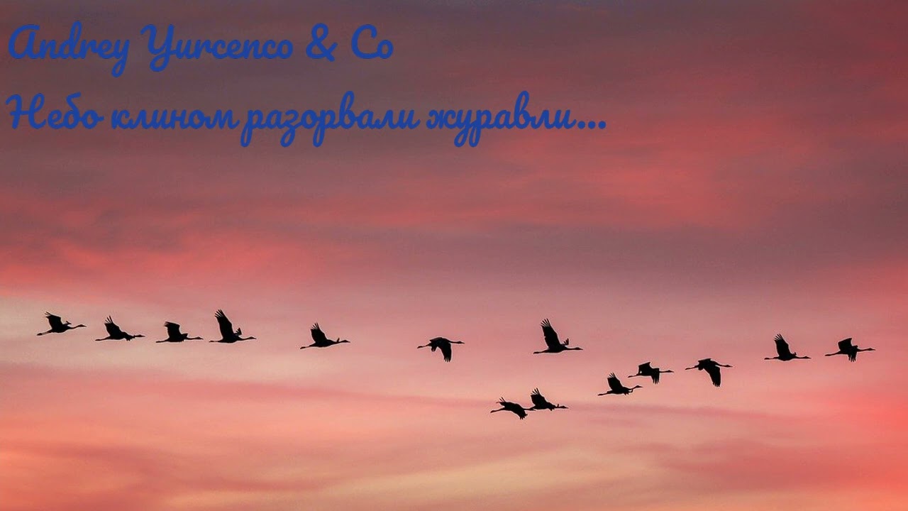 Небо клином разорвали журавли.