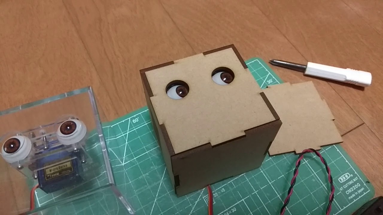 Doll eyes motion test 3 YouTube