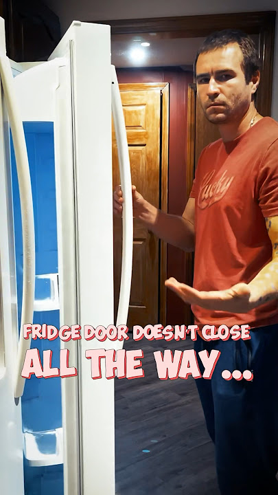 FRIDGE DOOR Won't Close? Fix It with This Simple Trick!