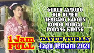 1 JAM FULL LAGU TERBARU - TAYUB TUBAN Ketipung Versi Lamongan