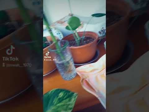 اللهم صبحنا برضاء الله والحمد لله يسعد صباحك