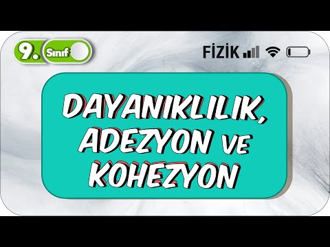 Dayanıklılık, Adezyon ve Kohezyon | Somut Örneklerle Anlatım | 9.Sınıf Fizik #2023