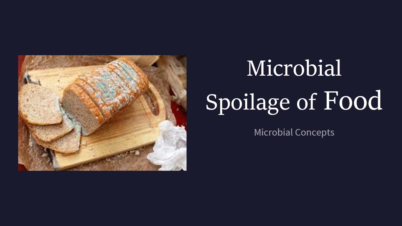 Микробная порча пищевых продуктов | ПОРЧА ПИЩЕВЫХ ПРОДУКТОВ | Пищевая микробиология