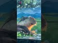 Sự thật cảm lạnh về Capybara và Cá sấu. #DongVatHaiHuoc #KienThucThuVi #HaiHuoc #Cute