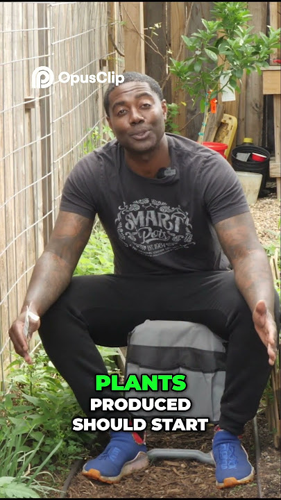 Endless Harvest  Unlock Your Garden's Potential with Succession Planting!