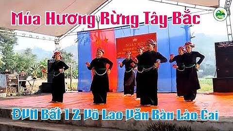 Múa Hương Rừng Tây Bắc | ĐVN Bất 1 2 Võ Lao - Văn Bàn, Lào Cai | Thanh Quang Tây Bắc