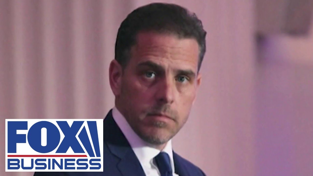 Hunter Biden was 'trading favors' with international powers: Rep. Darrell Issa