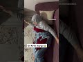 Size de uyku da böyle oluyor mu😐 #reels #funny #viral #komedi #reklam #viralvideo #temizlik