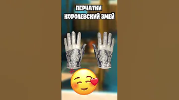 📦СКОЛЬКО СТОИТ ИНВЕНТАРЬ ШАРФА в КС ГО