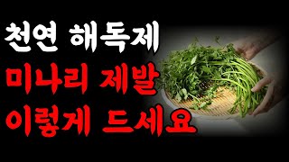 염증 해결사 미나리의 놀라운 효능 꼭 이렇게 드세요ㅣ당뇨 고혈압 치매 온갖 성인병 싹 사라집니다ㅣ수근차 만드는법ㅣ미나리의 힘ㅣ책읽어주는여자ㅣ건강 오디오북