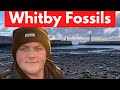 Whitby Fossil Hunting - Cliffs Under Whitby Abbey (Jet, Ammonites, Bone)