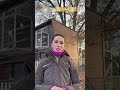 6. Adventstürchen: Wie bin ich zu den Tauben gekommen?! #brieftauben #pigeon #brieftaubensport