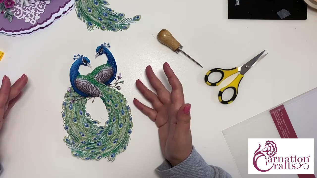 Carnation Crafts Picturesque Peacock/ Petite Heart Frame 23.09.2021 Nature’s Grace