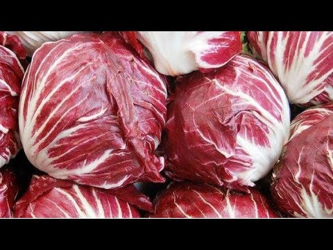 Radicchio কি